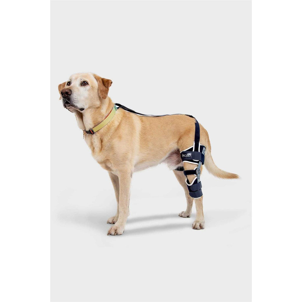 Adjustable Hinged Dog Knee Brace M9840