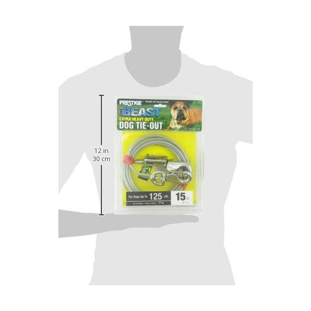 15ft XL Dog Tie-Out with Spring A454017