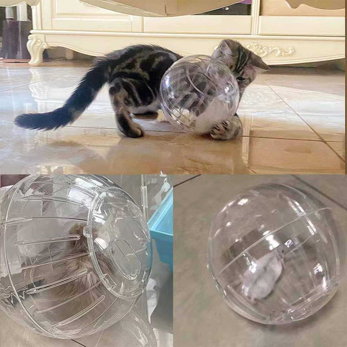 Hamster Exercise Ball Transparent L988179