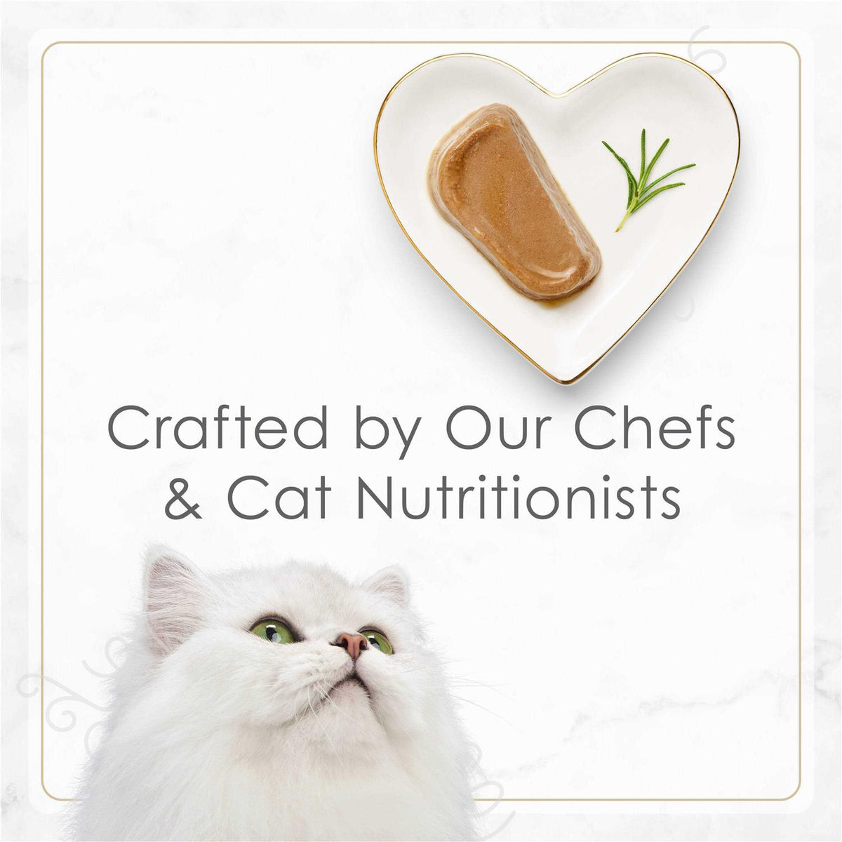 Tender Beef Entree Wet Cat Food N909192