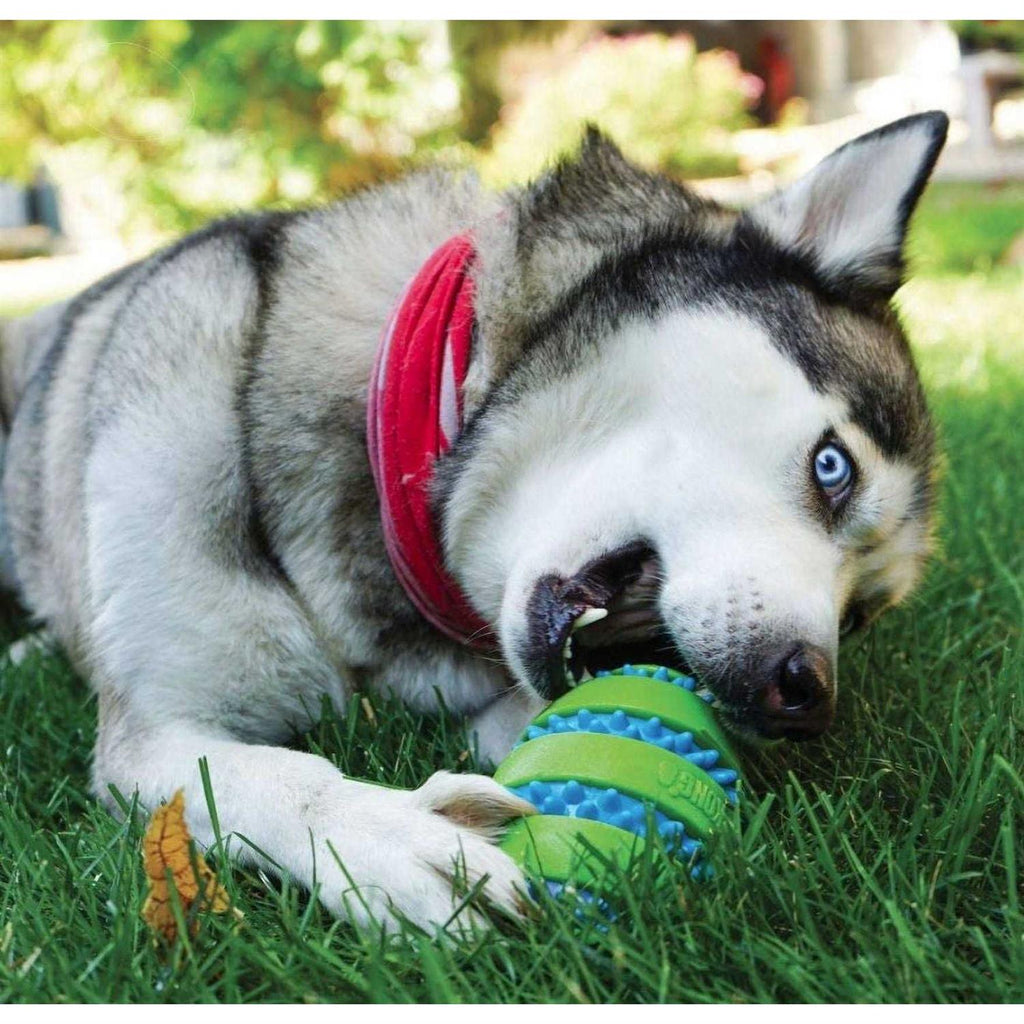 Football Dog Toy S5570