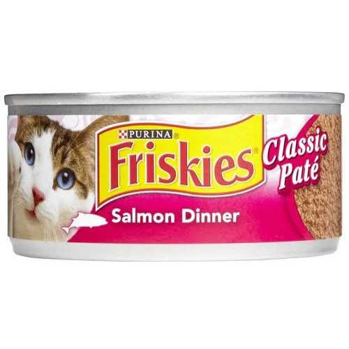 Salmon Pate Wet Cat Food O982