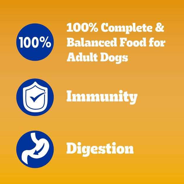 Chicken Adult Dry Dog Food O856