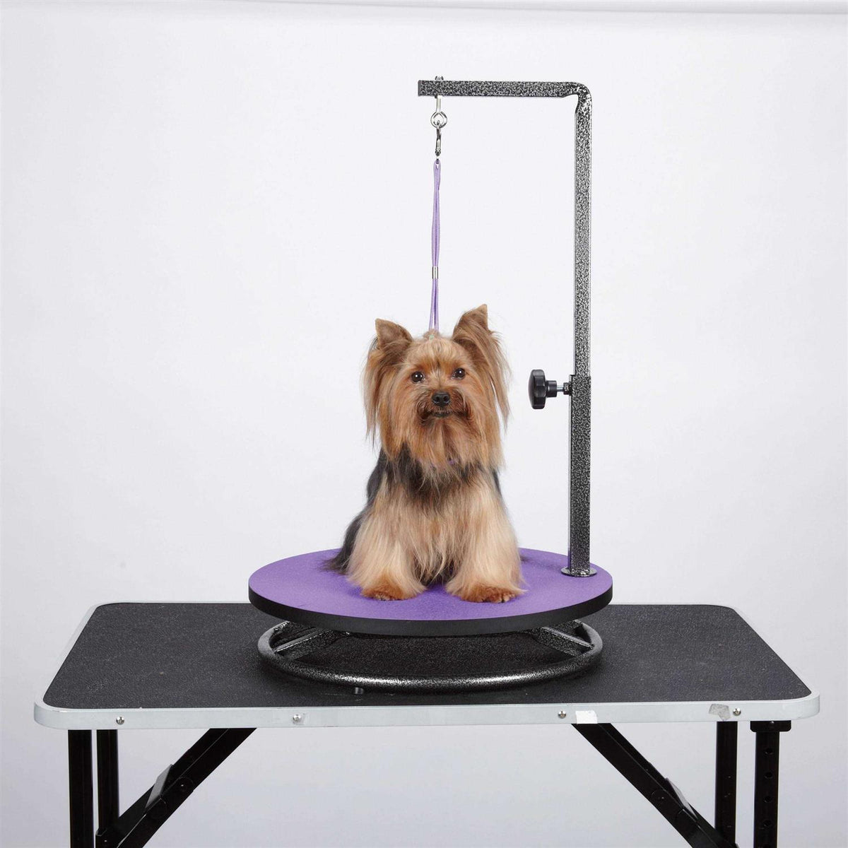 Small Pet Grooming Table F11395