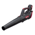 Cordless Handheld Blower D74257