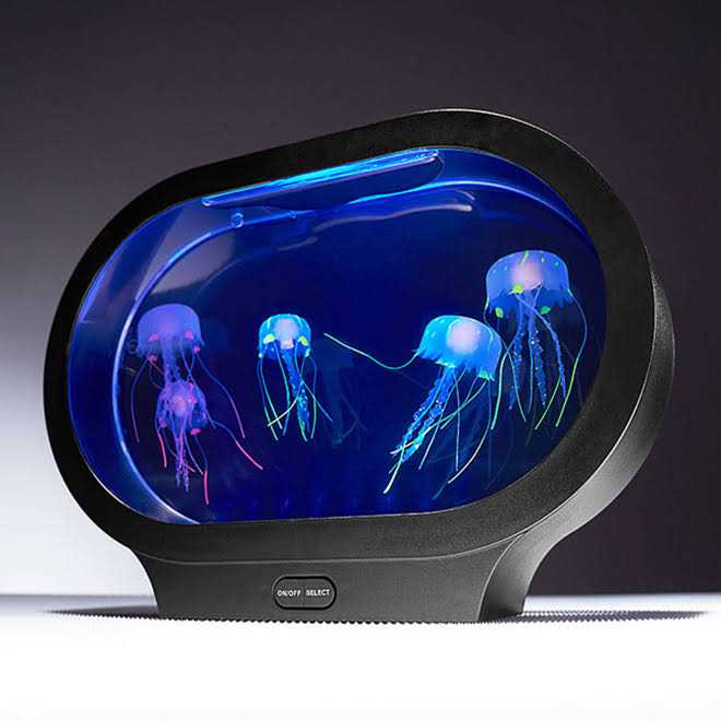 Jellyfish Aquarium L8453