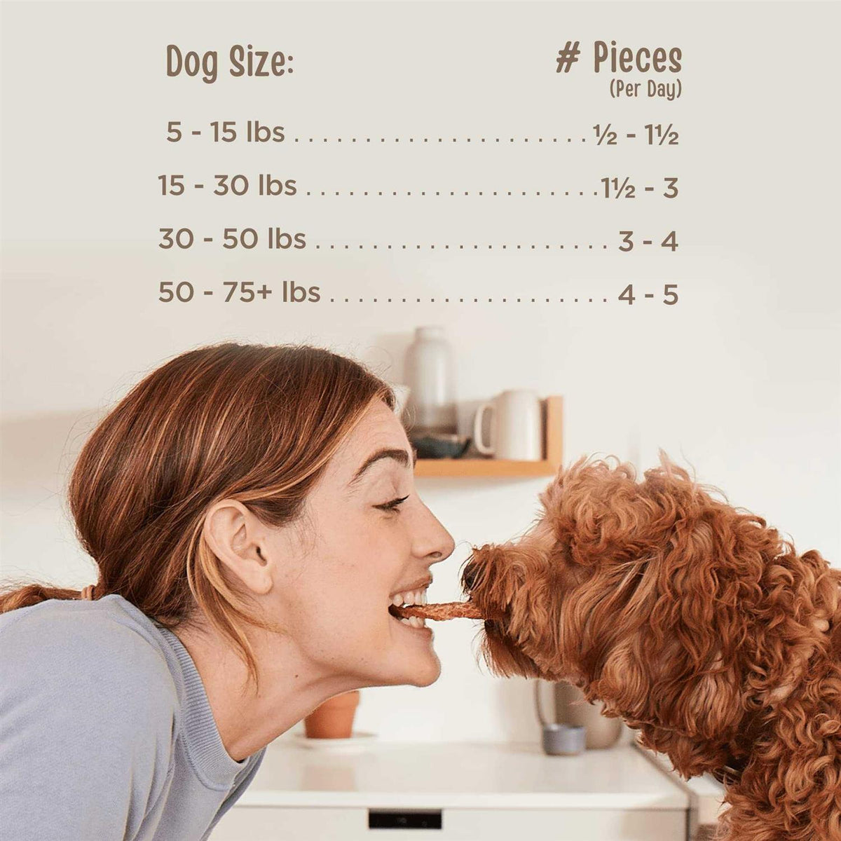 Beef Recipe Dog Treats A1221