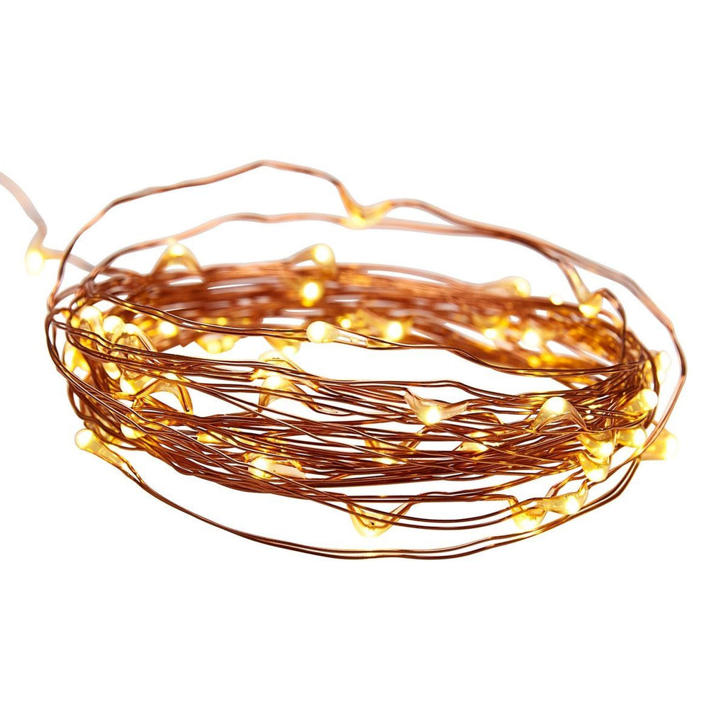 Warm White Copper Wire Lights with Remote L1309