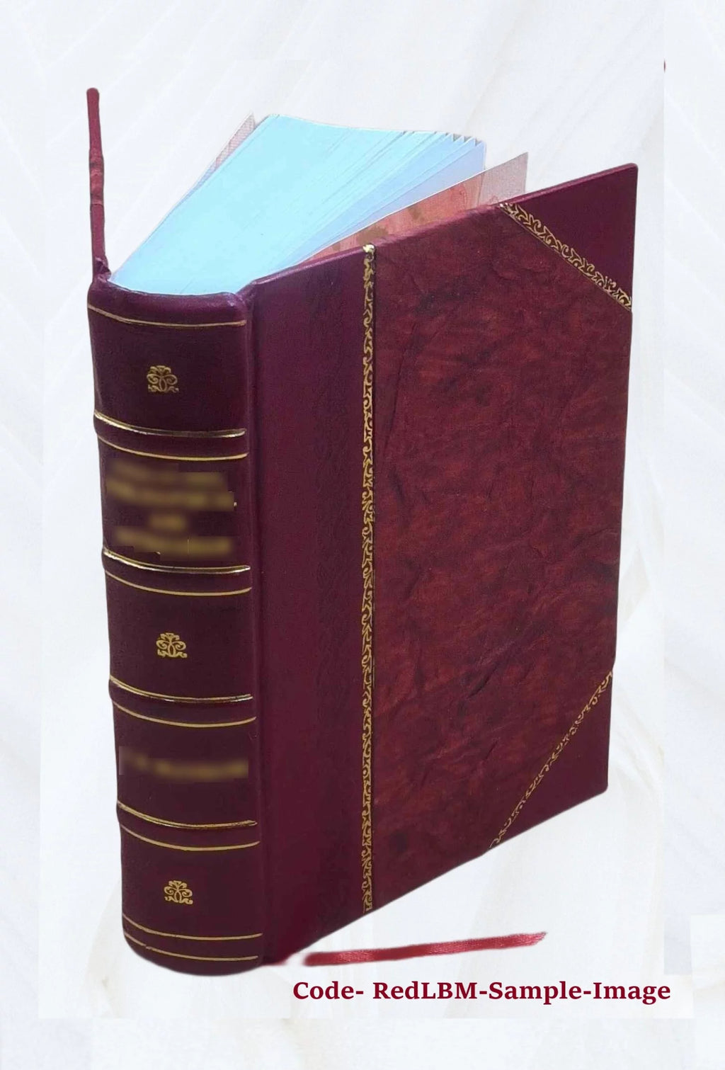 Digital Computer and Control Engineering Leather Bound U292400