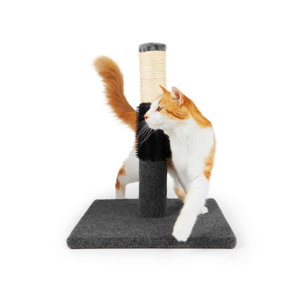 Colorful Cat Scratch Post J387629