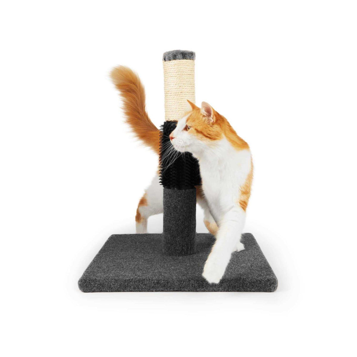 Colorful Cat Scratch Post J387629