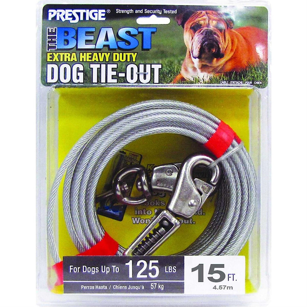 15ft XL Dog Tie-Out with Spring A454017