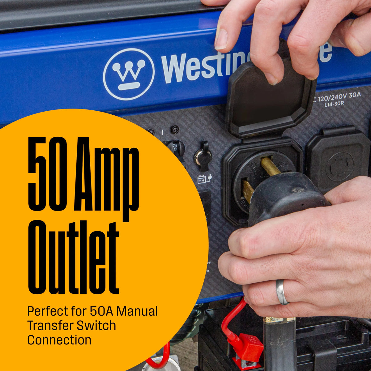 12,500 Peak Watt Dual Fuel Portable Generator I3421