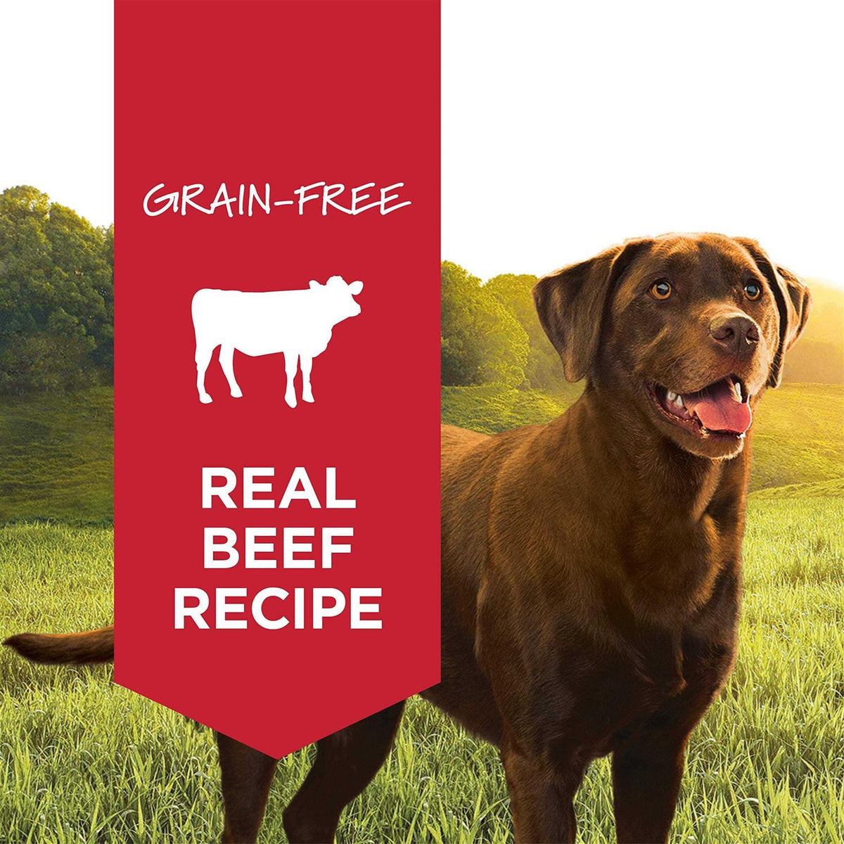 Grain-Free Beef Canned Dog Food V105