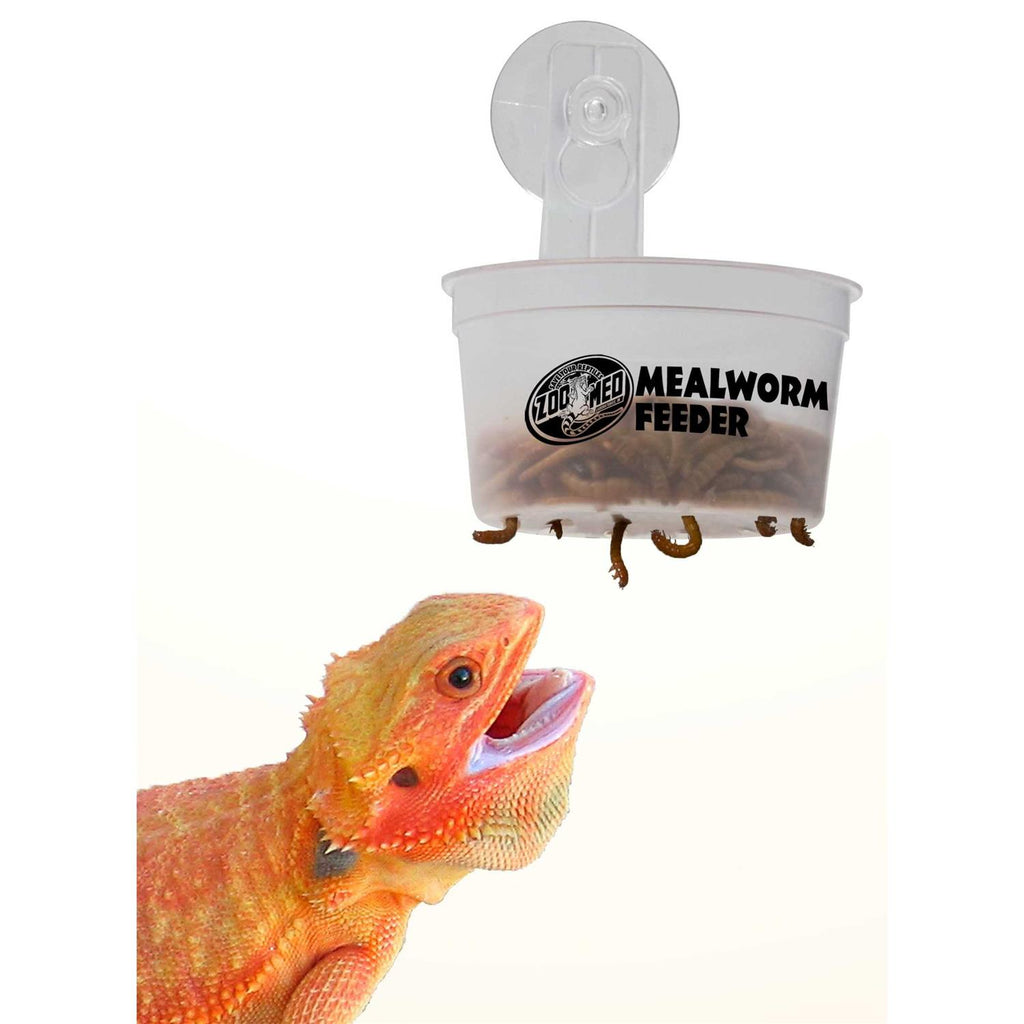 Hanging Mealworm Feeder Y77671