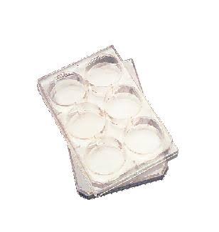 Plate 24TC Sterile Case of 60 I6224