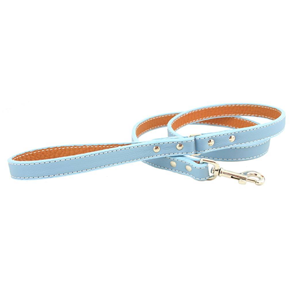 Light Blue Leather Dog Leash S52452