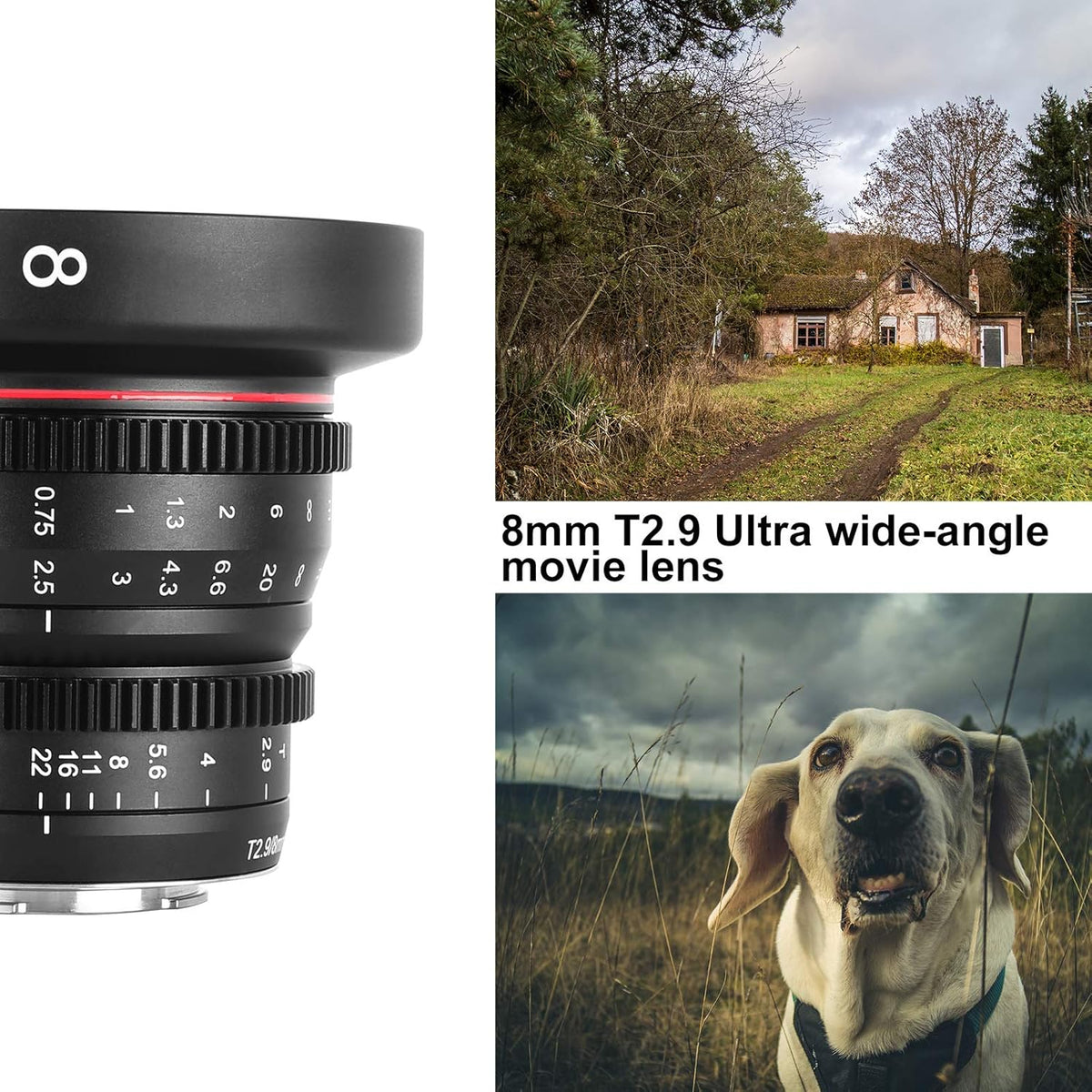 8mm T2.9 Wide-Angle Cinema Lens M83446