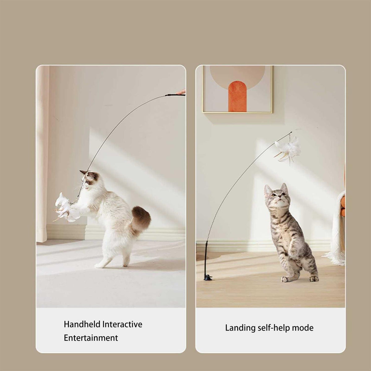 Cat Toy Wand with Bird Feather Ball E671523