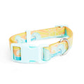 Wipeable Dog Collar N46605