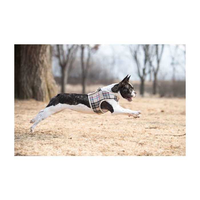 Dog Harness P750