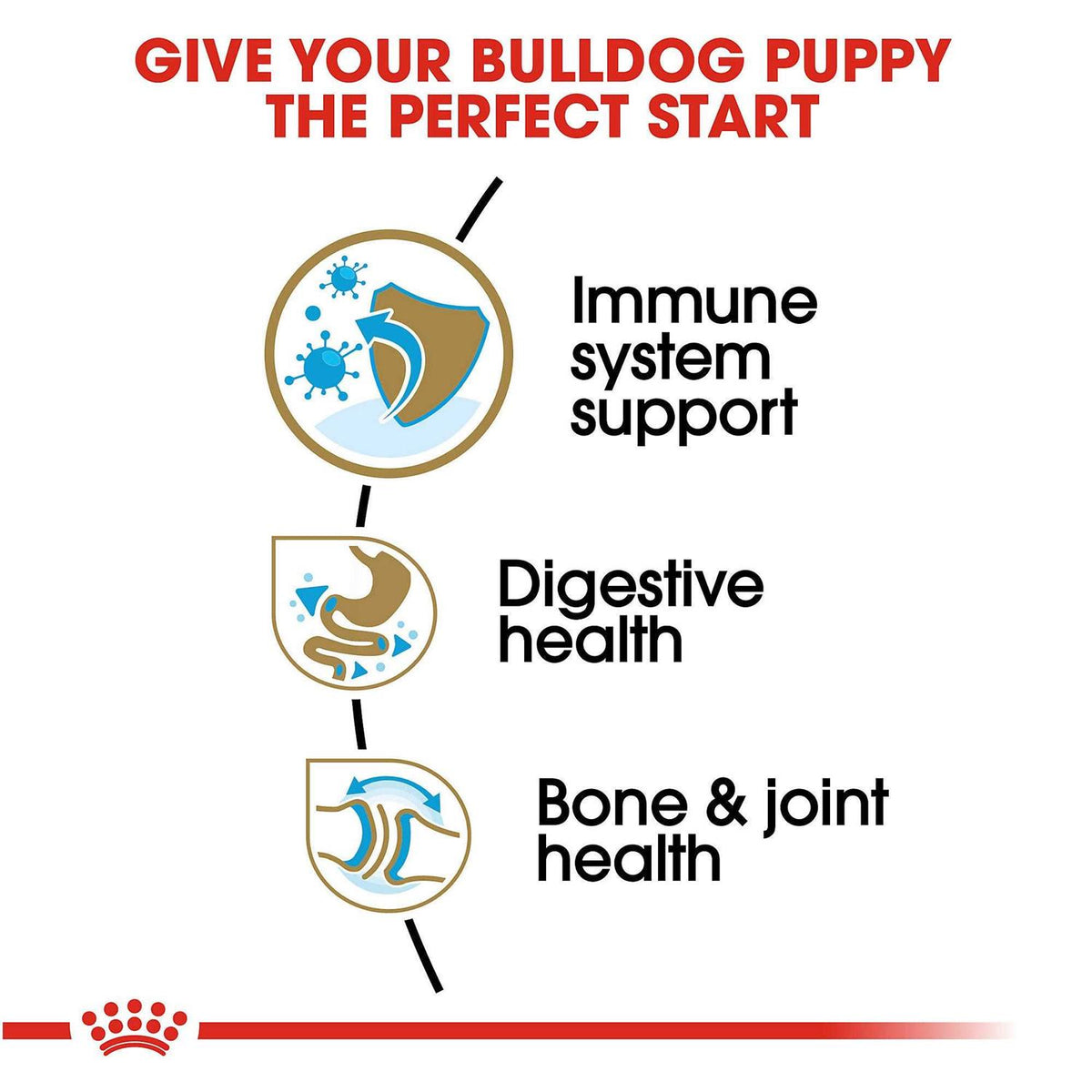 Bulldog Puppy Dry Dog Food S839059