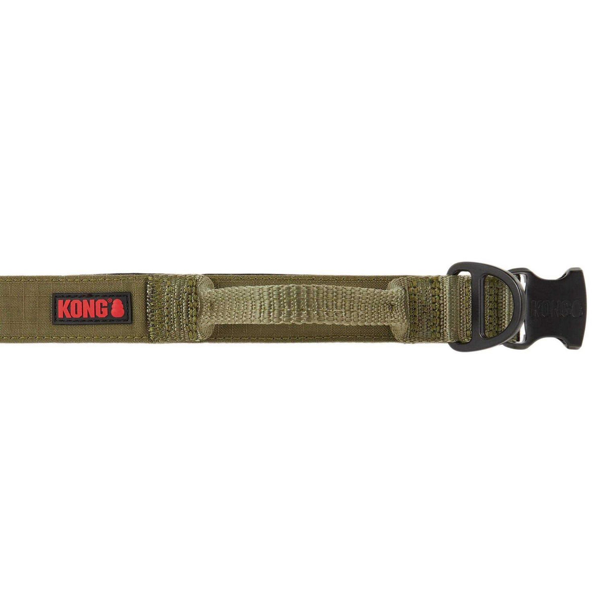 Padded Dog Collar C299