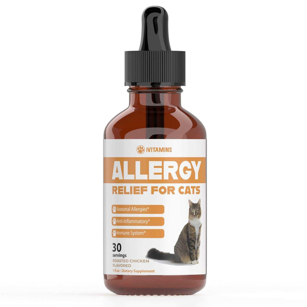 Allergy Relief for Cats H356
