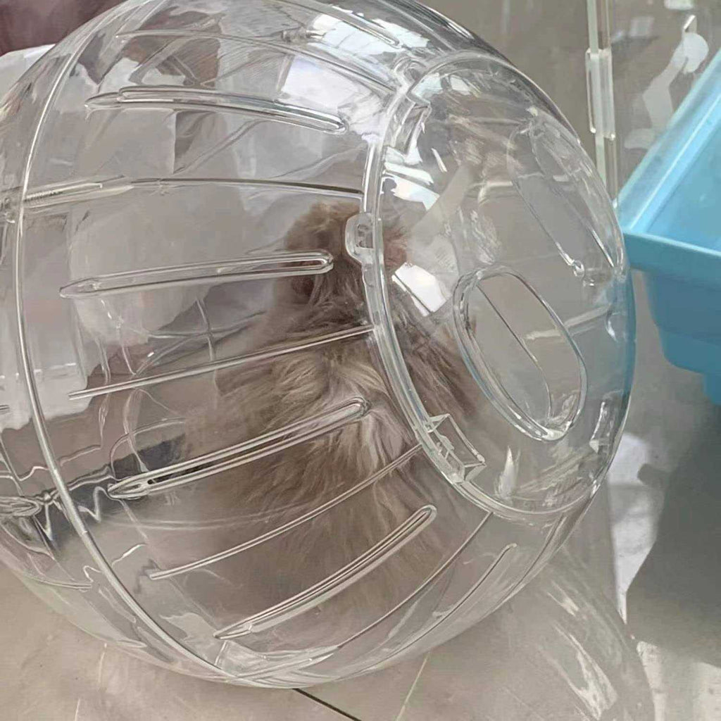 Hamster Exercise Ball Transparent L988179