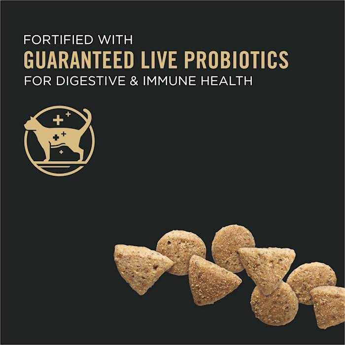 Grain Free High Protein Natural Dry Kitten Food L436132