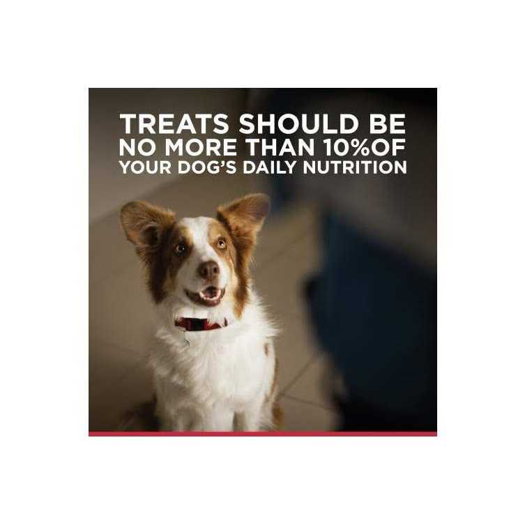 Jerky Dog Treats T88414