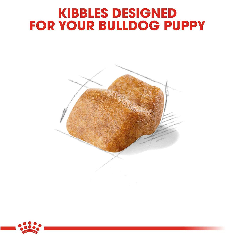 Bulldog Puppy Dry Dog Food S839059