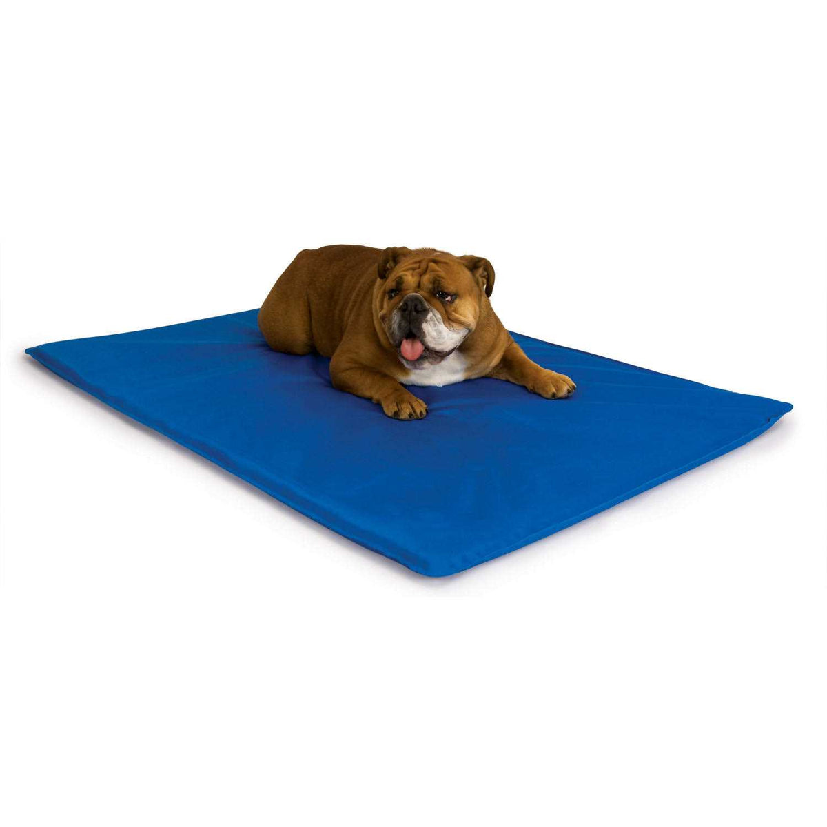 Cool Pet Bed I438894