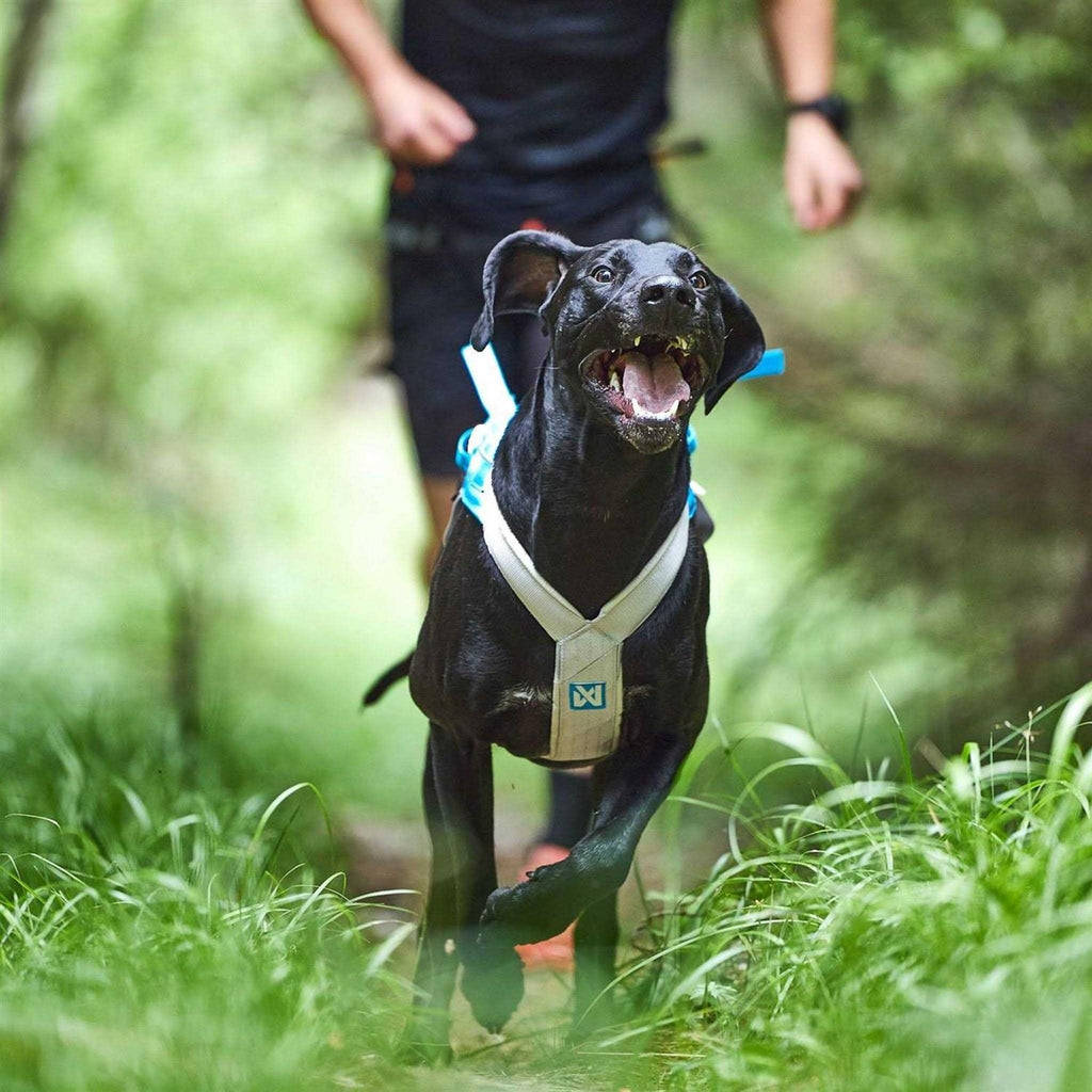 Dogwear Freemotion Harness 5.0 N3581