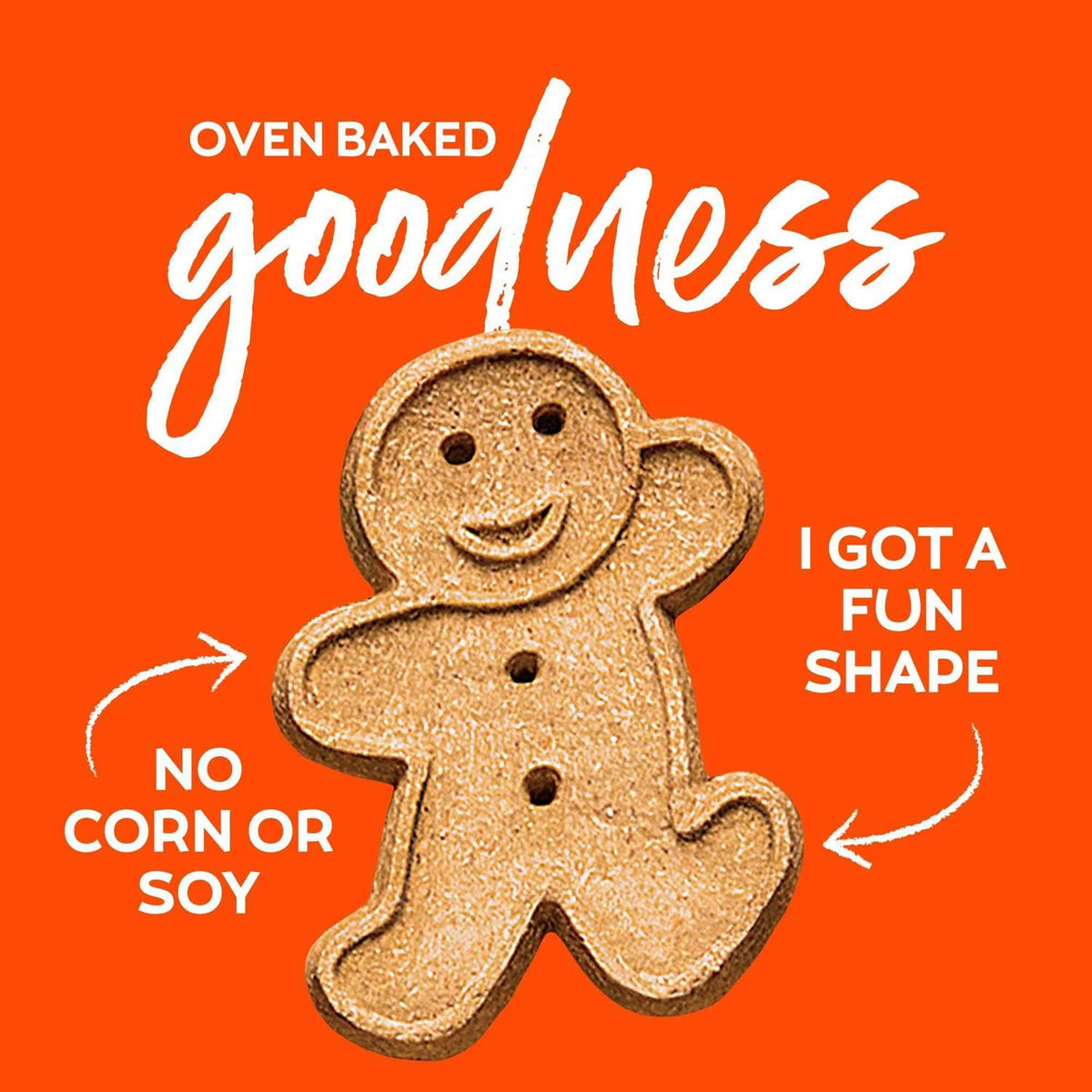 Peanut Butter Oven Baked Dog Treats O4753