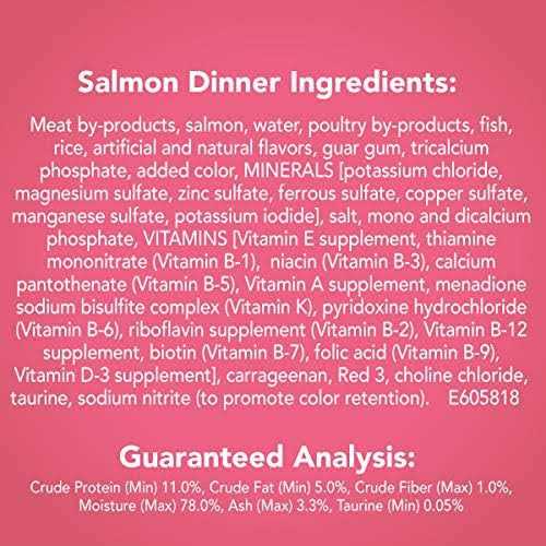 Salmon Pate Wet Cat Food O982