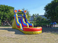 Commercial Grade Inflatable Water Slide with Pool Y249335