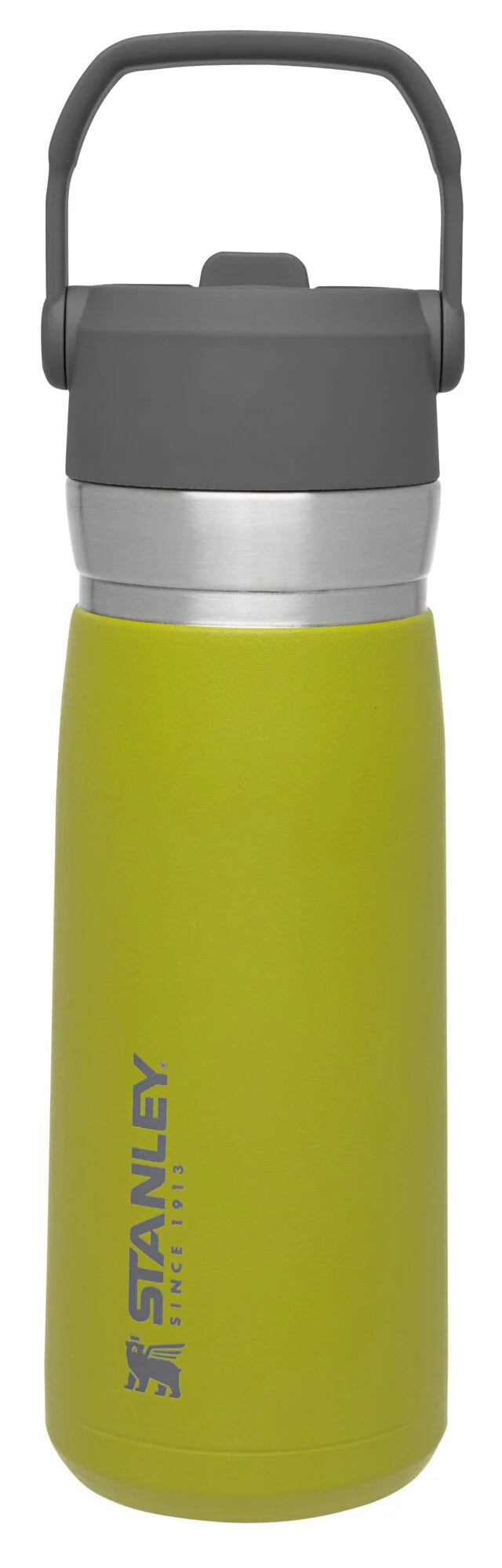 22 oz Insulated Stainless Steel Water Bottle with Straw and Flip-Top Lid E7960