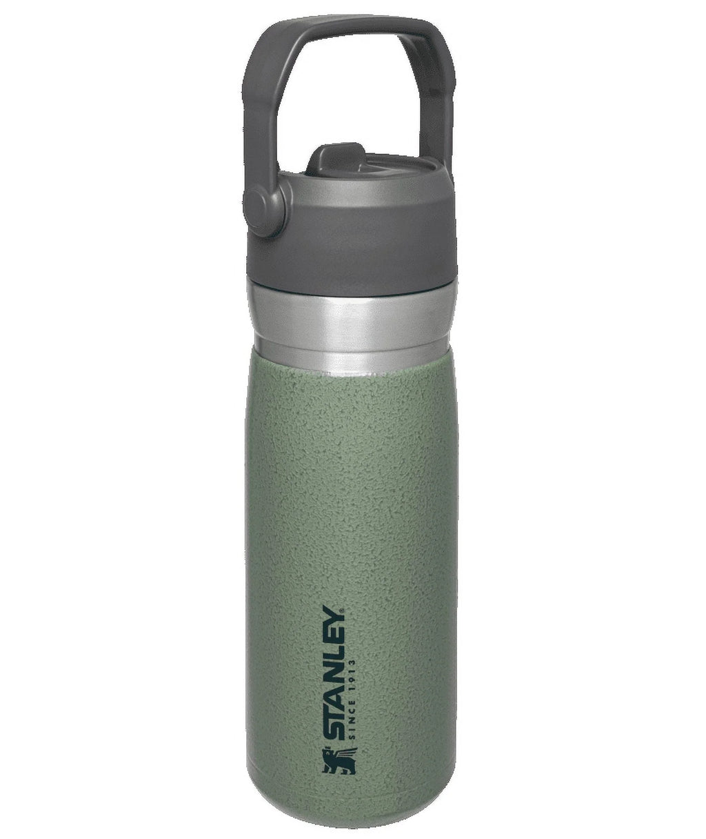 22 oz Insulated Stainless Steel Water Bottle with Straw and Flip-Top Lid E7960
