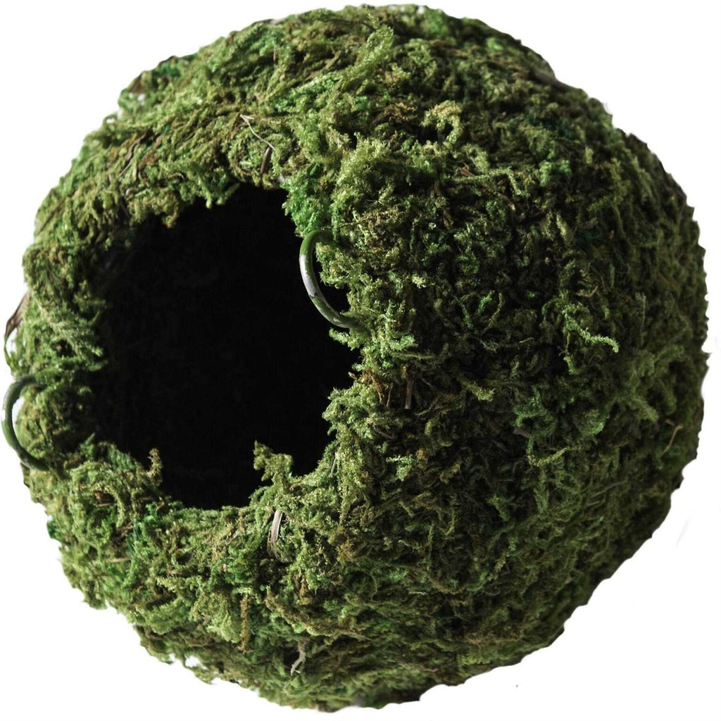 Mossy Cave P836443