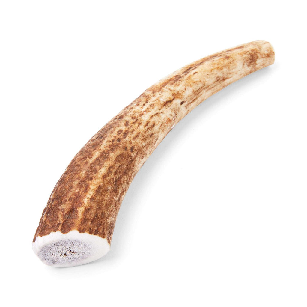Large Whole Elk Antler Dog Chew U153