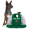 Portable Spot and Stain Cleaner S329