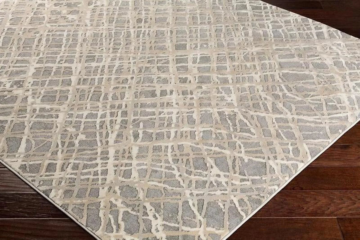 5x7 Medium Gray Area Rug A12384