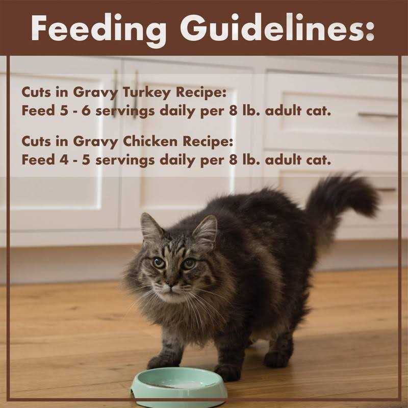 Grain Free Turkey Wet Cat Food F438393
