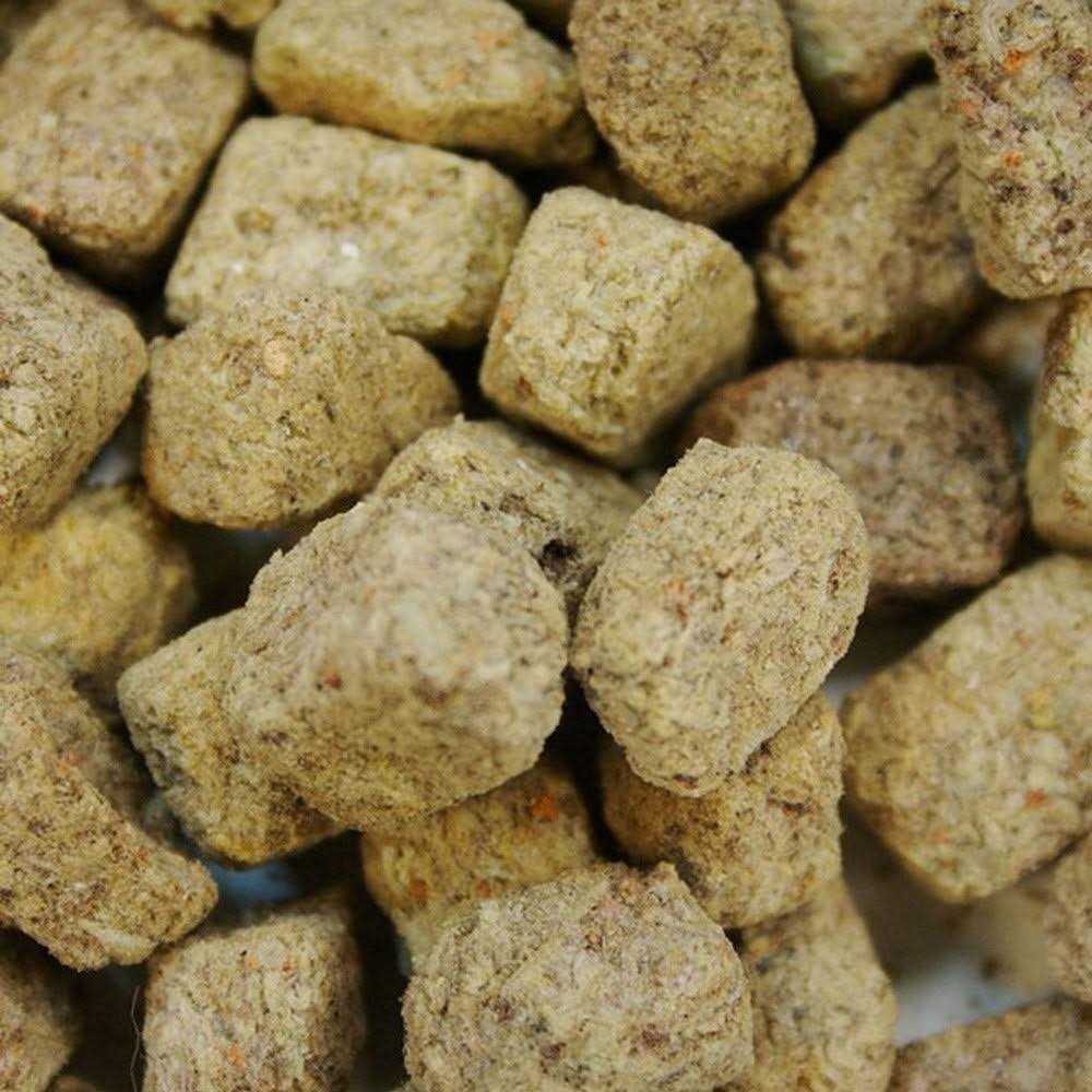 Freeze Dried Brine Shrimp Y962