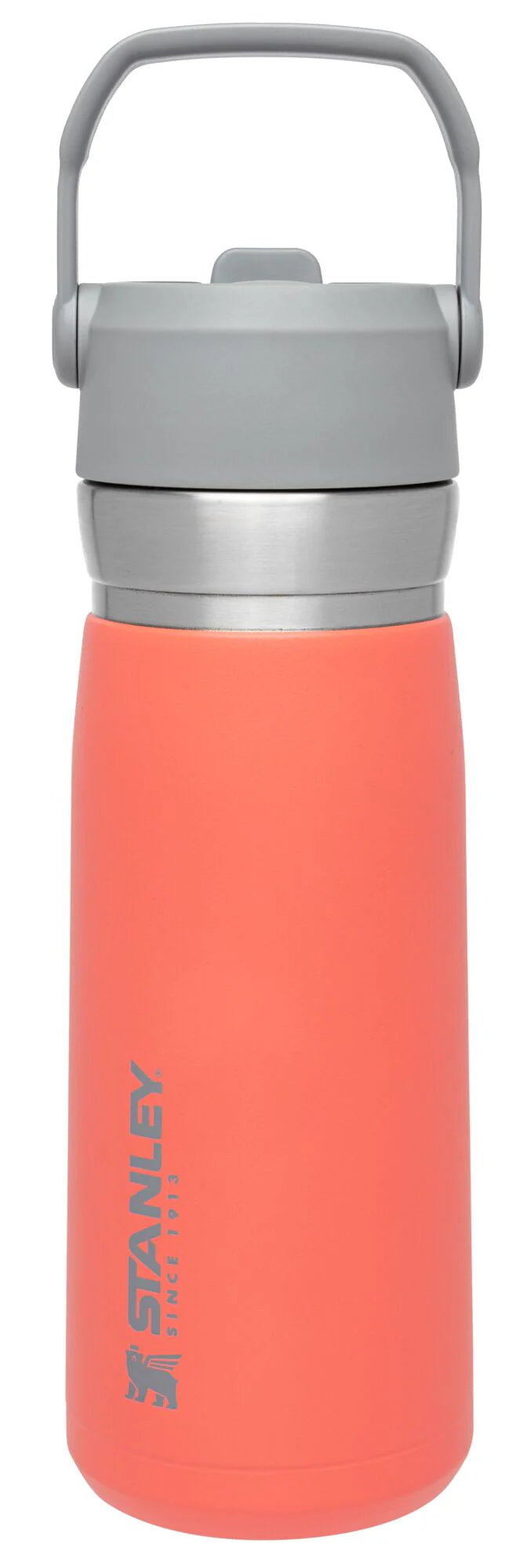 22 oz Insulated Stainless Steel Water Bottle with Straw and Flip-Top Lid E7960