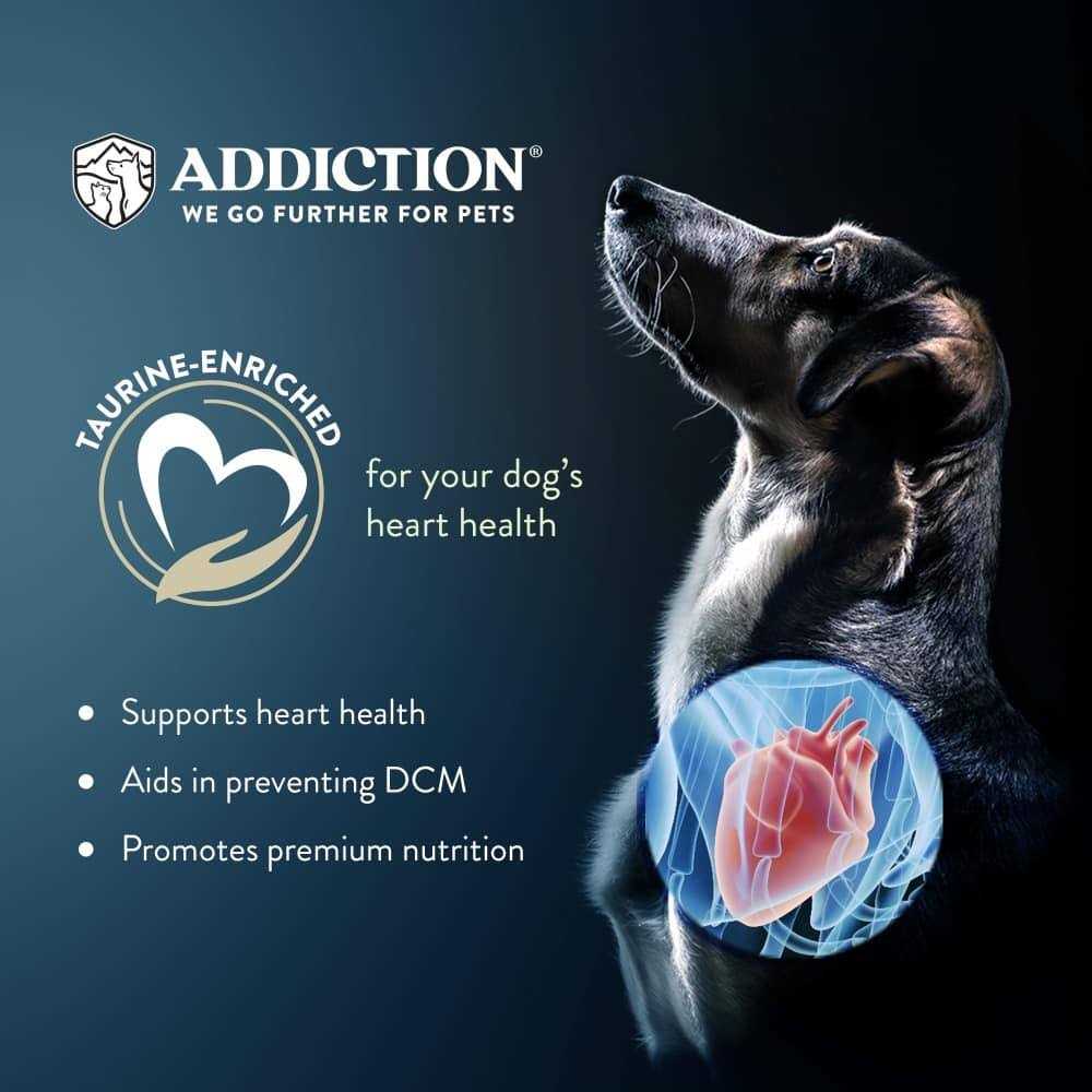 Dry Dog Food T545797