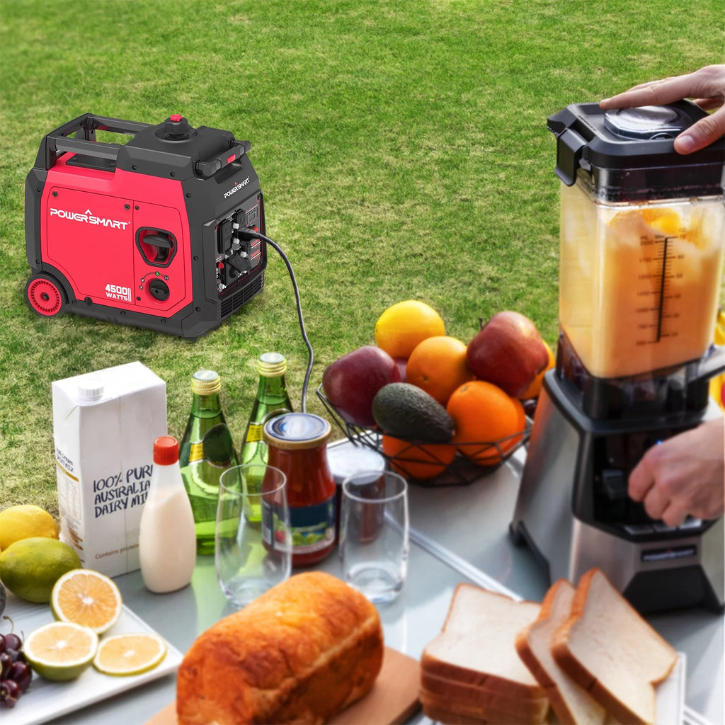 4500 Watt Portable Inverter Gas Generator P6203
