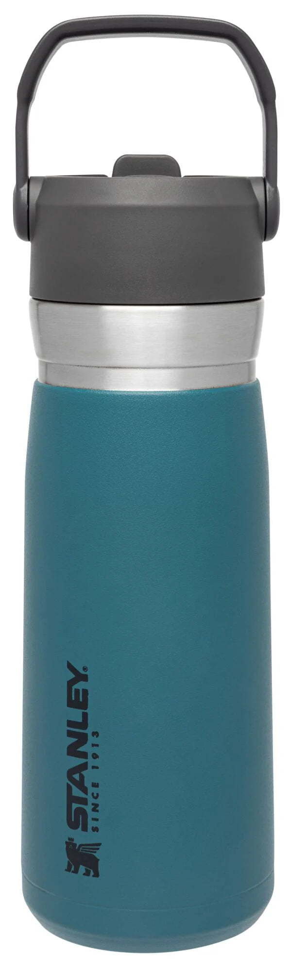 22 oz Insulated Stainless Steel Water Bottle with Straw and Flip-Top Lid E7960
