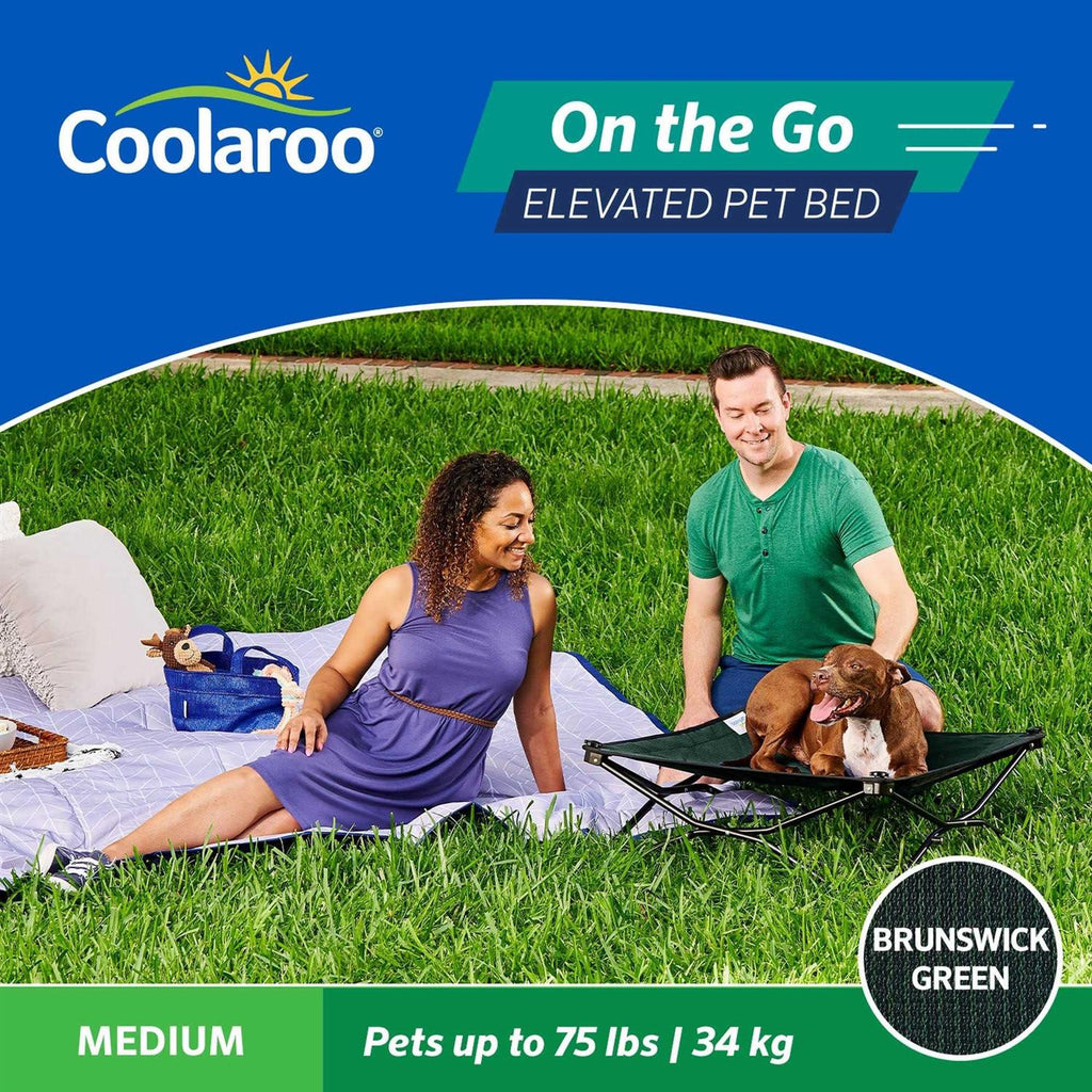 Elevated Pet Bed I7466